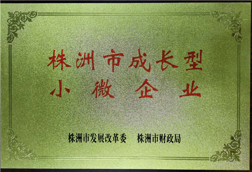 湖南世瑞環保科技有限公司,株洲治理餐飲油煙污染,廚房清理